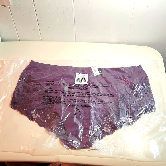 ❤️NWT VINTAGE TORRID PANTY - LACE BACK SEAMLESS FLIRT MID-RISE BRIEF SIZE 4X - Picture 4 of 9